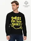 Мужской лонгслив базовый / Smells like teen spirit (P007_P004ooo2960601, P004ooo2960601)