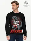 Мужской лонгслив базовый / KARATE T-REX (P007_P004ooo2960843, P004ooo2960843)