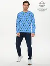 Мужской лонгслив базовый / Stardew valley. Pattern (P007_P004ooo2969651, P004ooo2969651)