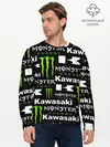 Мужской лонгслив базовый / KAWASAKI X MONSTER ENERGY (P007_P004ooo2970671, P004ooo2970671)