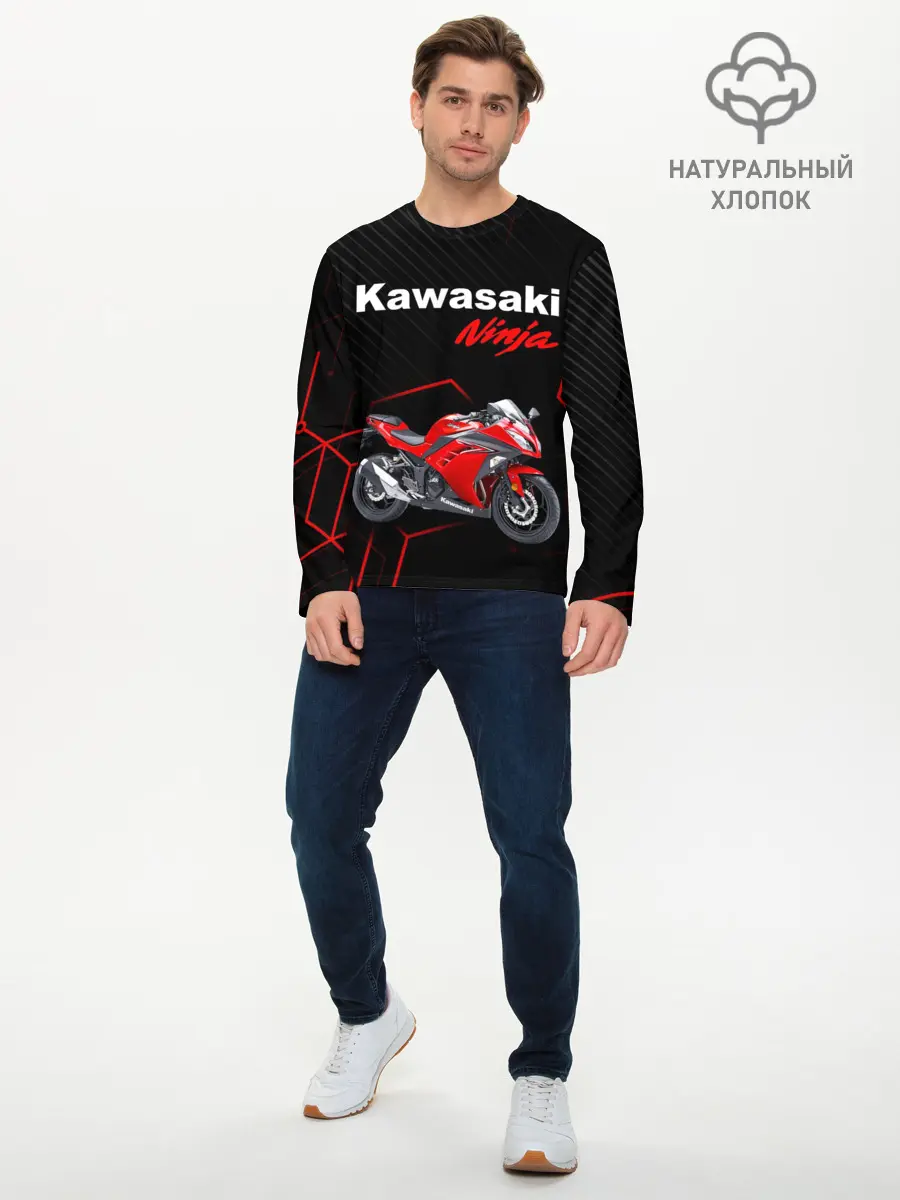Мужской лонгслив базовый / KAWASAKI NINJA / КАВАСАКИ (P007_P004ooo2970215, P004ooo2970215)