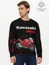 Мужской лонгслив базовый / KAWASAKI NINJA / КАВАСАКИ (P007_P004ooo2970215, P004ooo2970215)