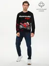 Мужской лонгслив базовый / KAWASAKI NINJA / КАВАСАКИ (P007_P004ooo2970215, P004ooo2970215)