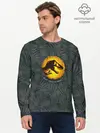 Мужской лонгслив базовый / JWDominion#2 (P007_P004ooo2971153, P004ooo2971153)