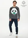Мужской лонгслив базовый / Панда Краски Брызги (P007_P004ooo2974075, P004ooo2974075)