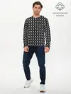 Мужской лонгслив базовый / черепа (P007_P004ooo2978771, P004ooo2978771)