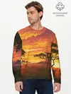 Мужской лонгслив базовый / АФРИКАНСКАЯ САВАННА (P007_P004ooo2984995, P004ooo2984995)