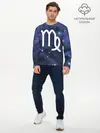 Мужской лонгслив базовый / Дева / Virgo, Знак зодиака (P007_P004ooo2986585, P004ooo2986585)