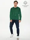 Мужской лонгслив базовый / Изумрудный мех (P007_P004ooo2989555, P004ooo2989555)