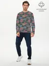 Мужской лонгслив базовый / Цветные велосипеды паттерн (P007_P004ooo2992685, P004ooo2992685)