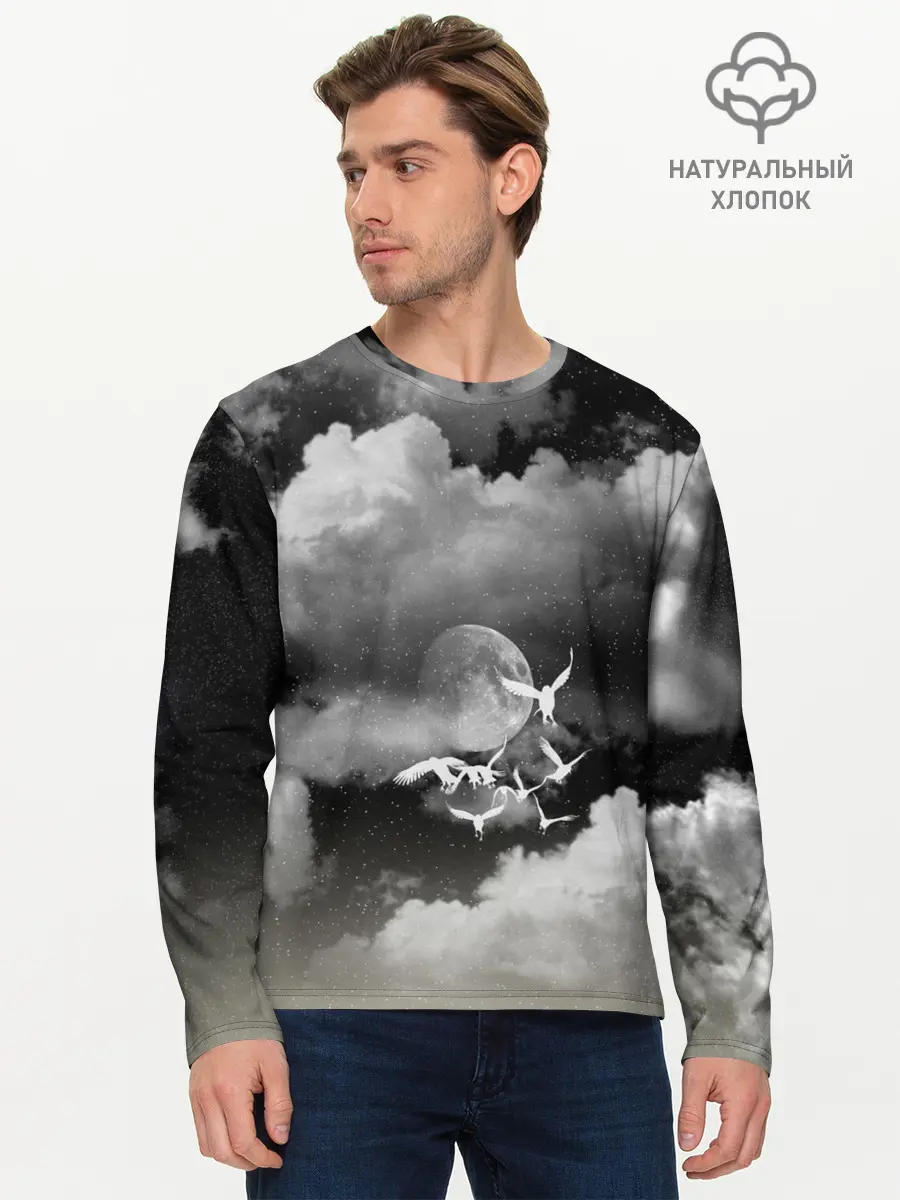 Мужской лонгслив базовый / Cloudy Night (P007_P004ooo2997141, P004ooo2997141)