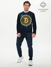 Мужской лонгслив базовый / BITCOIN ВАЛЮТА (P007_P004ooo2999107, P004ooo2999107)