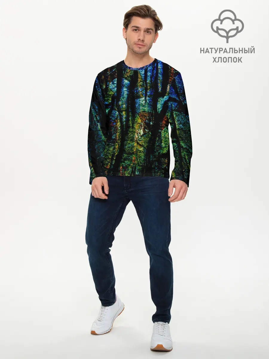 Мужской лонгслив базовый / Разноцветная гора (P007_P004ooo3000669, P004ooo3000669)