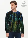 Мужской лонгслив базовый / Разноцветная гора (P007_P004ooo3000669, P004ooo3000669)