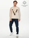 Мужской лонгслив базовый / Venom - Bullet For My Valentine (P007_P004ooo3000703, P004ooo3000703)