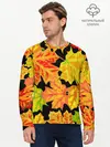 Мужской лонгслив базовый / LEAF FALL / AUTUMN (P007_P004ooo3002339, P004ooo3002339)