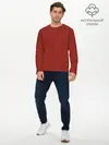 Мужской лонгслив базовый / Красная вязь (P007_P004ooo3002779, P004ooo3002779)