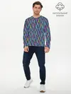 Мужской лонгслив базовый / Свечи (P007_P004ooo3002689, P004ooo3002689)