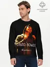 Мужской лонгслив базовый / VH1 Storytellers - David Bowie (P007_P004ooo3003691, P004ooo3003691)