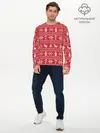 Мужской лонгслив базовый / Новогодний атрибуты (P007_P004ooo3003803, P004ooo3003803)