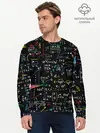 Мужской лонгслив базовый / Математика | Функции (P007_P004ooo3005985, P004ooo3005985)