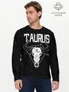 Мужской лонгслив базовый / Dark Taurus (P007_P004ooo3009079, P004ooo3009079)