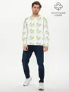Мужской лонгслив базовый / Канарейки в клетках (P007_P004ooo3009777, P004ooo3009777)