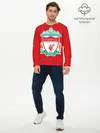 Мужской лонгслив базовый / F.C. LIVERPOOL (P007_P004ooo3010427, P004ooo3010427)