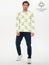Мужской лонгслив базовый / Маленькие птички (P007_P004ooo3011445, P004ooo3011445)