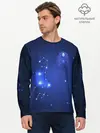 Мужской лонгслив базовый / Знак зодиака - Дева (P007_P004ooo3010931, P004ooo3010931)