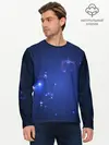 Мужской лонгслив базовый / Знак зодиака - Весы (P007_P004ooo3010939, P004ooo3010939)