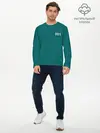 Мужской лонгслив базовый / Игрок 001. (P007_P004ooo3013431, P004ooo3013431)