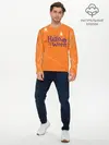 Мужской лонгслив базовый / ПАУТИНКА НА ХЭЛЛОУИН (P007_P004ooo3014525, P004ooo3014525)
