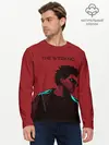 Мужской лонгслив базовый / The red weekend (P007_P004ooo3014453, P004ooo3014453)