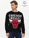 Мужской лонгслив базовый / B.C. Chicago Bulls (P007_P004ooo3014993, P004ooo3014993)