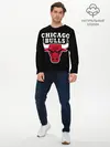 Мужской лонгслив базовый / B.C. Chicago Bulls (P007_P004ooo3014993, P004ooo3014993)