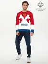 Мужской лонгслив базовый / Russia Team (P007_P004ooo3023607, P004ooo3023607)