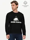 Мужской лонгслив базовый / PINK FLOYD PIG (P007_P004ooo3026151, P004ooo3026151)