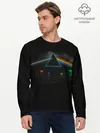 Мужской лонгслив базовый / ПИНК ФЛОЙД | PINK FLOYD LOGO (P007_P004ooo3026153, P004ooo3026153)