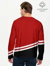Мужской лонгслив базовый / Chicago Blackhawks, NHL (P007_P004ooo3030103, P004ooo3030103)