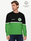 Мужской лонгслив базовый / Skoda | Два цвета (P007_P004ooo3030149, P004ooo3030149)