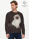 Мужской лонгслив базовый / Котенок Ми (P007_P004ooo3030617, P004ooo3030617)