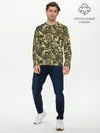 Мужской лонгслив базовый / Коты и Кошки (P007_P004ooo3031265, P004ooo3031265)