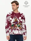 Мужской лонгслив базовый / Аризона Койотис, НХЛ (P007_P004ooo3031505, P004ooo3031505)