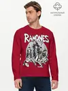 Мужской лонгслив базовый / BW Ramones (P007_P004ooo3031479, P004ooo3031479)