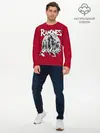 Мужской лонгслив базовый / BW Ramones (P007_P004ooo3031479, P004ooo3031479)
