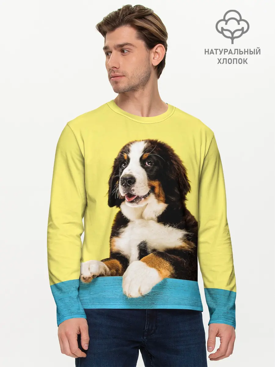 Мужской лонгслив базовый / Бернский зенненхунд, Berner Sennenhund (P007_P004ooo3032221, P004ooo3032221)