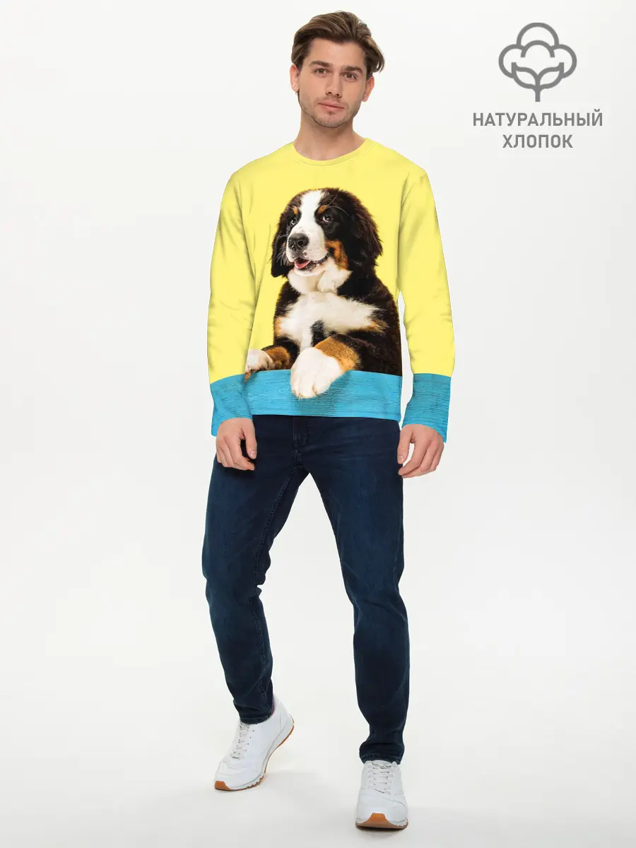 Мужской лонгслив базовый / Бернский зенненхунд, Berner Sennenhund (P007_P004ooo3032221, P004ooo3032221)