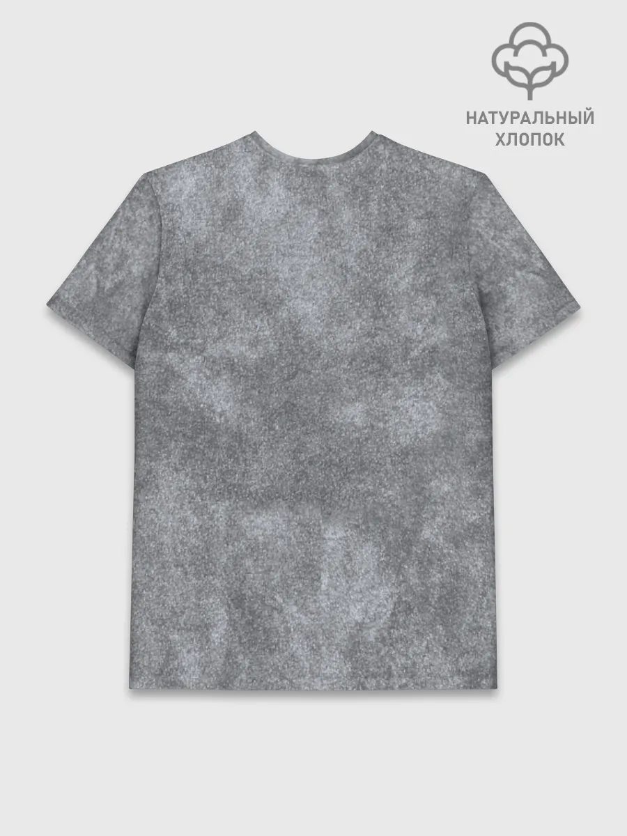 Мужская базовая футболка хлопок / GerGray