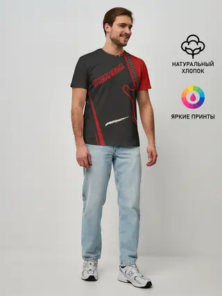 Мужская базовая футболка / Scorpions